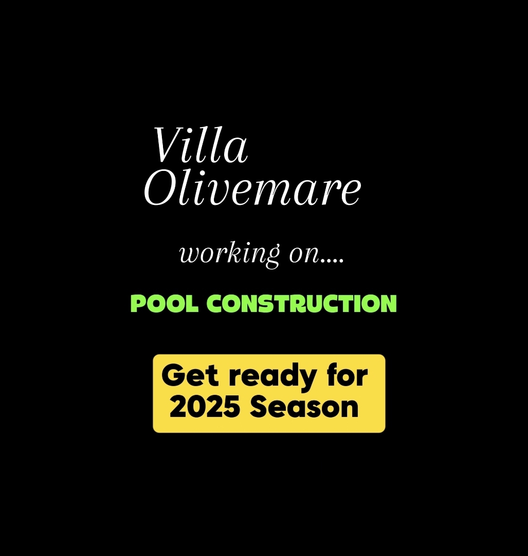 Screenshot 20250102 140910 Gallery