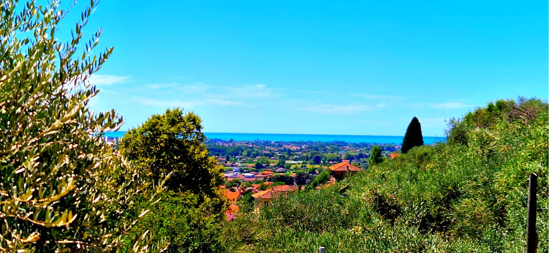 Villa Olivemare Vista Mare