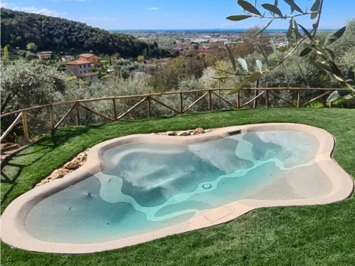 Villa Olivemare BnB Pietrasanta Pool